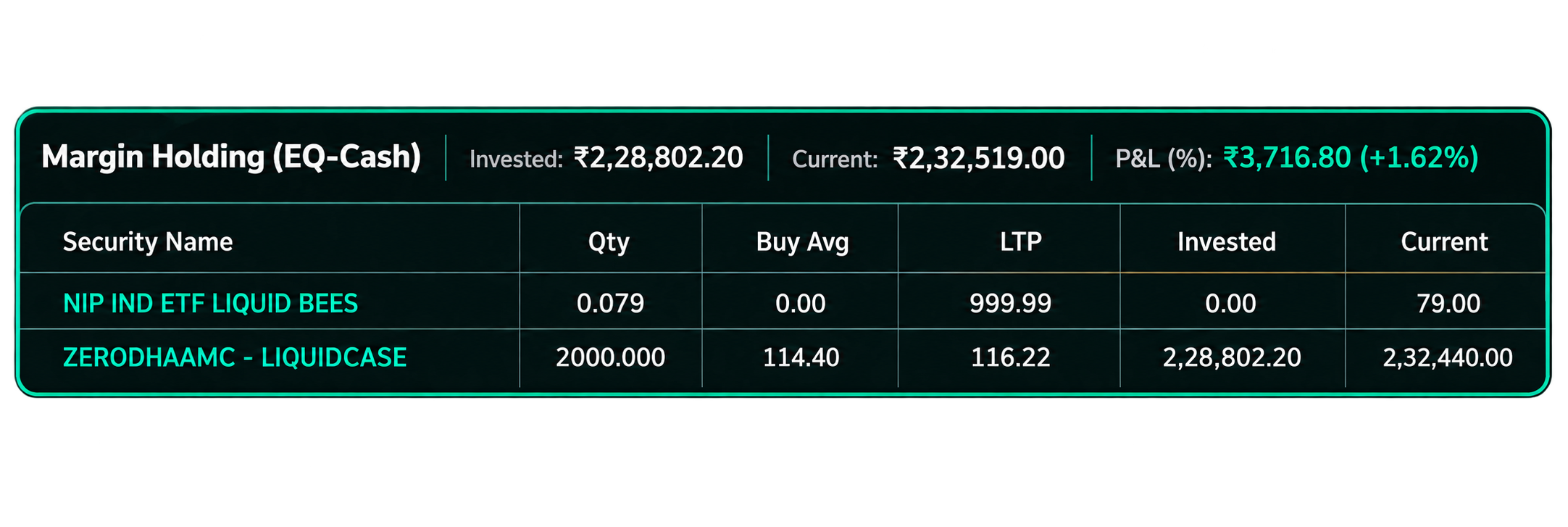 Margin Holdings